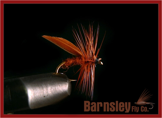 Cinnamon Sedge - Size 12