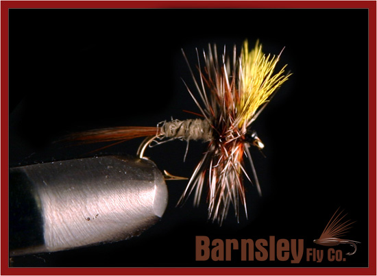 March Brown Dry Fly