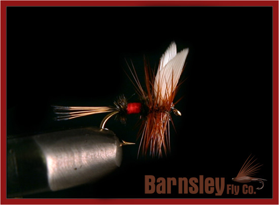 Royal Coachman Dry Fly