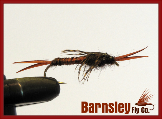 Stonefly Dark Poxyback - Size 10